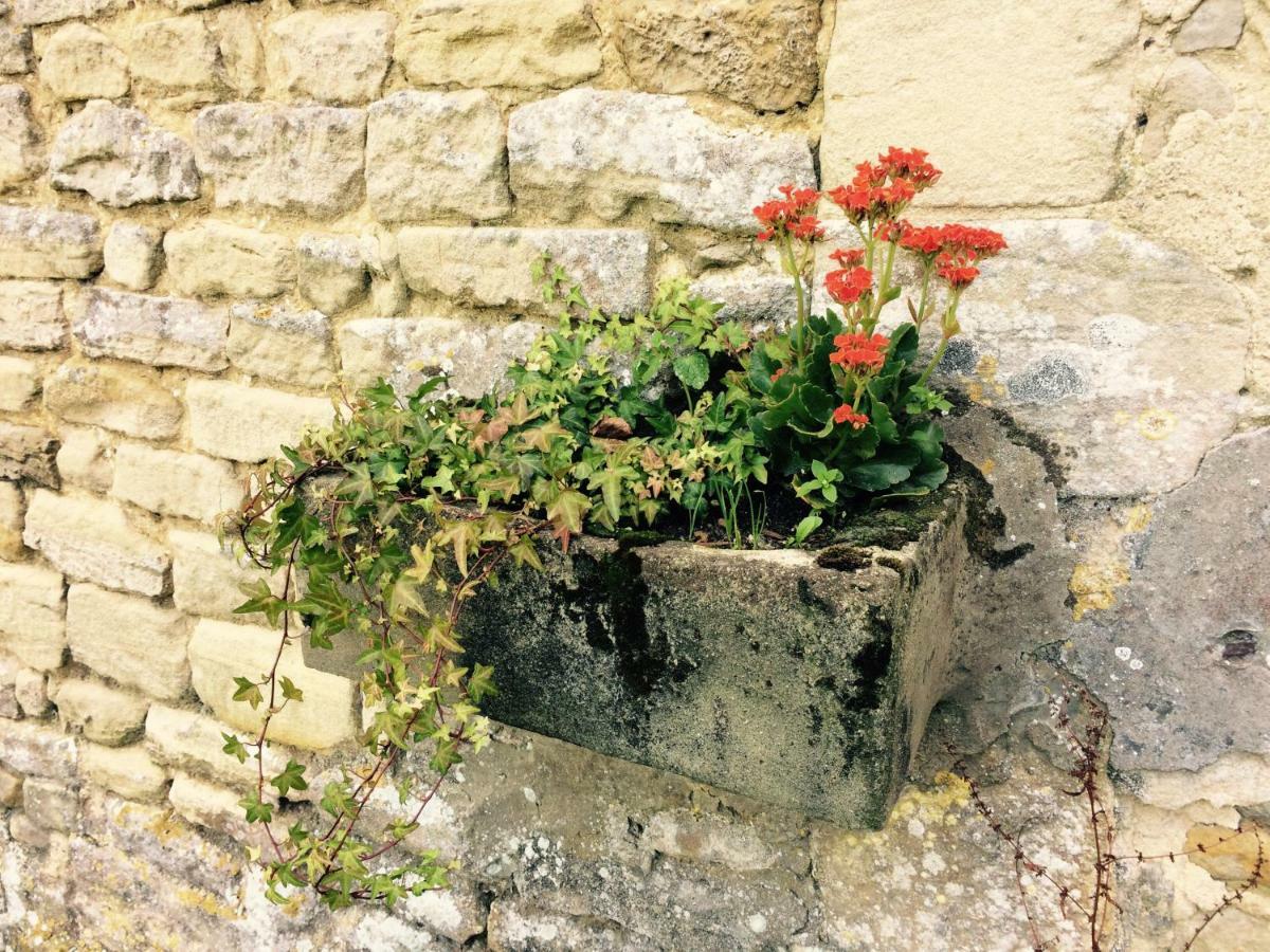 Le Manoir Des Doyens Bed & Breakfast Bayeux Luaran gambar